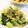 クックE662AA☆'s cooksnap of when they made 青梗菜の中華風炒め.