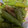 no1642's cooksnap of when they made 簡単！　ししとう　椎茸の　ピリ辛炒め！.