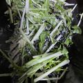 no1642's cooksnap of when they made 【時短レシピ】水菜と塩昆布のサラダ.