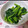 ぱにぱる's cooksnap of when they made 小松菜の簡単胡麻和え.