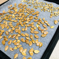 ＊ｎｏａ＊”'s cooksnap of when they made かぼちゃの種の簡単おつまみ.
