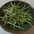 canaon's cooksnap of when they made 豆苗の塩こぶサラダ.