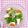 カレンガール's cooksnap of when they made 水菜とはんぺんのサラダ.