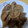びまめゴハン♪'s cooksnap of when they made 炊飯器ＤＥ大根と鶏肉の簡単煮物♪.
