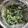 クックNP9ISV☆'s cooksnap of when they made クミン香る♪ほうれん草のオイマヨサラダ.