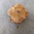 クック5L6WLX☆'s cooksnap of when they made 低糖質！卵白おからスコーン.