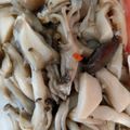 ☆ゆきじるし☆'s cooksnap of when they made 保存食「きのこのオイル漬け」.