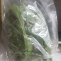 クックZVL9NR☆'s cooksnap of when they made 春菊の保存方法.