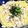 クックU870☆'s cooksnap of when they made 蒸し鶏と梅のさっぱり和風パスタ♪.
