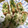＊まーにゃん＊'s cooksnap of when they made 厚揚げの明太チーズ焼き.
