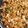 クック1P3ZDN☆'s cooksnap of when they made そばめし.