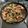 クックS13NCH☆'s cooksnap of when they made 簡単♪ ラディッシュとベーコンの醤油炒め.