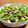 チコリママ's cooksnap of when they made 水菜とベーコンのシャキシャキサラダ.