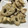 ぷりまめ's cooksnap of when they made 蓮根ときのこのチーズ焼き.