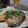 ダイナマイト漆黒's cooksnap of when they made ブリの香味竜田揚げ♪みぞれのせ.