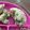 ilovesushi's cooksnap of when they made 幼児食にも！野菜チーズ蒸しパン.