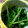 とおるの奧さん's cooksnap of when they made 我が家の減塩　水菜のおひたし.