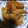m1kar1n5's cooksnap of when they made ご飯がすすむ★鶏の手羽先と大根の煮物.