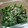 iamsho's cooksnap of when they made 必殺！ほうれん草のからし和え.