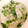 KAORULALA's cooksnap of when they made 大根菜(かぶの葉)の和風粥.