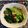 ☆hikonyan☆'s cooksnap of when they made ✿小松菜のピリ辛ガーリック炒め✿.