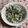 クック49L4Ho☆'s cooksnap of when they made 大根とカニカマのサラダ.