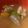 月の影と海's cooksnap of when they made いのしし汁.