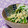 ピンクのたまご's cooksnap of when they made にらとエノキのさっぱり☆.