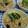 ととろ＆めい's cooksnap of when they made あさりの佃煮としらすの炊き込みごはん.