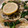 クックIFIIQ3☆'s cooksnap of when they made 牡蠣とほうれん草とごぼうのパスタ.