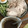 パンすきっこ's cooksnap of when they made ゆで鶏のタレ　とり胸肉とりもも肉.