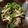 ねこはがき's cooksnap of when they made ご飯に合う！きのこの佃煮.