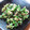 ちかぼん☆'s cooksnap of when they made オクラのごまおかか和え.