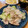 nakamucchi's cooksnap of when they made 豚バラレタスと春雨のうま塩炒め.