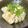 呑み助Nao's cooksnap of when they made マダラ肝の酒蒸し.