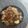 vanish_mr_'s cooksnap of when they made 簡単好き！筑前煮.