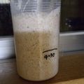 クックH86AFM☆'s cooksnap of when they made レーズン酵母♪　中種作り.