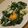 さぁ★たぁ★'s cooksnap of when they made MEC食♪ チーズたっぷりほうれん草&卵.