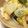 ぽぽりん's cooksnap of when they made 白菜とえのきの塩麹煮.
