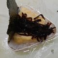 あきつま（杏花☆）'s cooksnap of when they made おにぎりの具　玉子昆布.