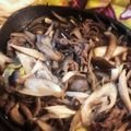 まみたん先生's cooksnap of when they made 居酒屋レシピシリーズ「牛肉で柳川鍋」.