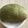 いちじくぱんな's cooksnap of when they made かわいい、よもぎの丸パン♪.