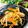 柚子♡⸝⸝⸝'s cooksnap of when they made 野菜たっぷり！もやしのにんにく醤油炒め。.