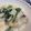 さっちっちー's cooksnap of when they made 鯛のムニエル☆クリームソース.