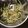 クックZ8J4H4☆'s cooksnap of when they made もやしと胡瓜のナムル.