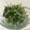クックYS50's cooksnap of when they made 大根の葉のメシ泥棒.