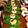 クックSTZOI8☆'s cooksnap of when they made 朴葉寿司♪.