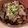 ☆Municoco☆'s cooksnap of when they made 肉じゃがの残り汁でリメイク！牛丼！.