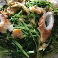 amileamila's cooksnap of when they made 豆苗とちくわの玉子炒め♪.