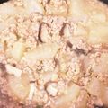 四つ葉♪'s cooksnap of when they made 豚ひき肉と大根のトロトロ中華煮.